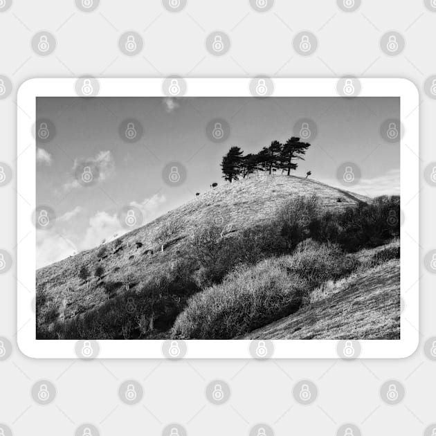 Colmers Hill -  Black and white Sticker by InspiraImage